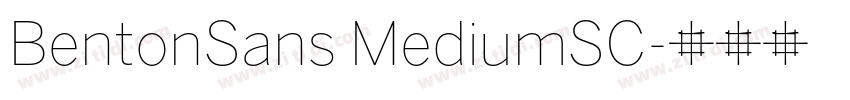 BentonSans MediumSC字体转换